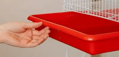 Mão puxando a bandeja vermelha limpa de uma gaiola